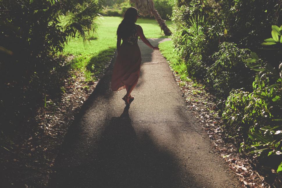 Programa de Desenvolvimento Pessoal — caminho de floresta ao amanhecer